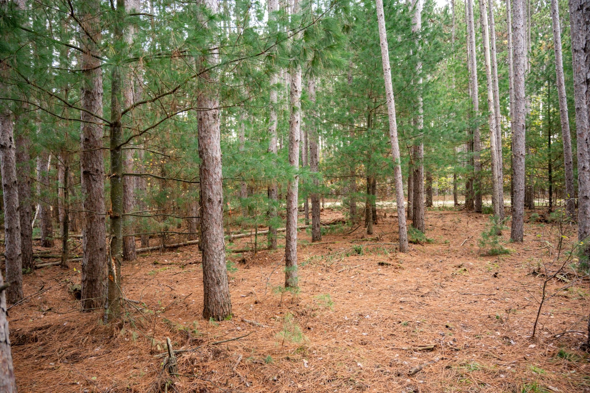 Lot 87 20th Arkdale, WI 54613 - Photo 9 of 25