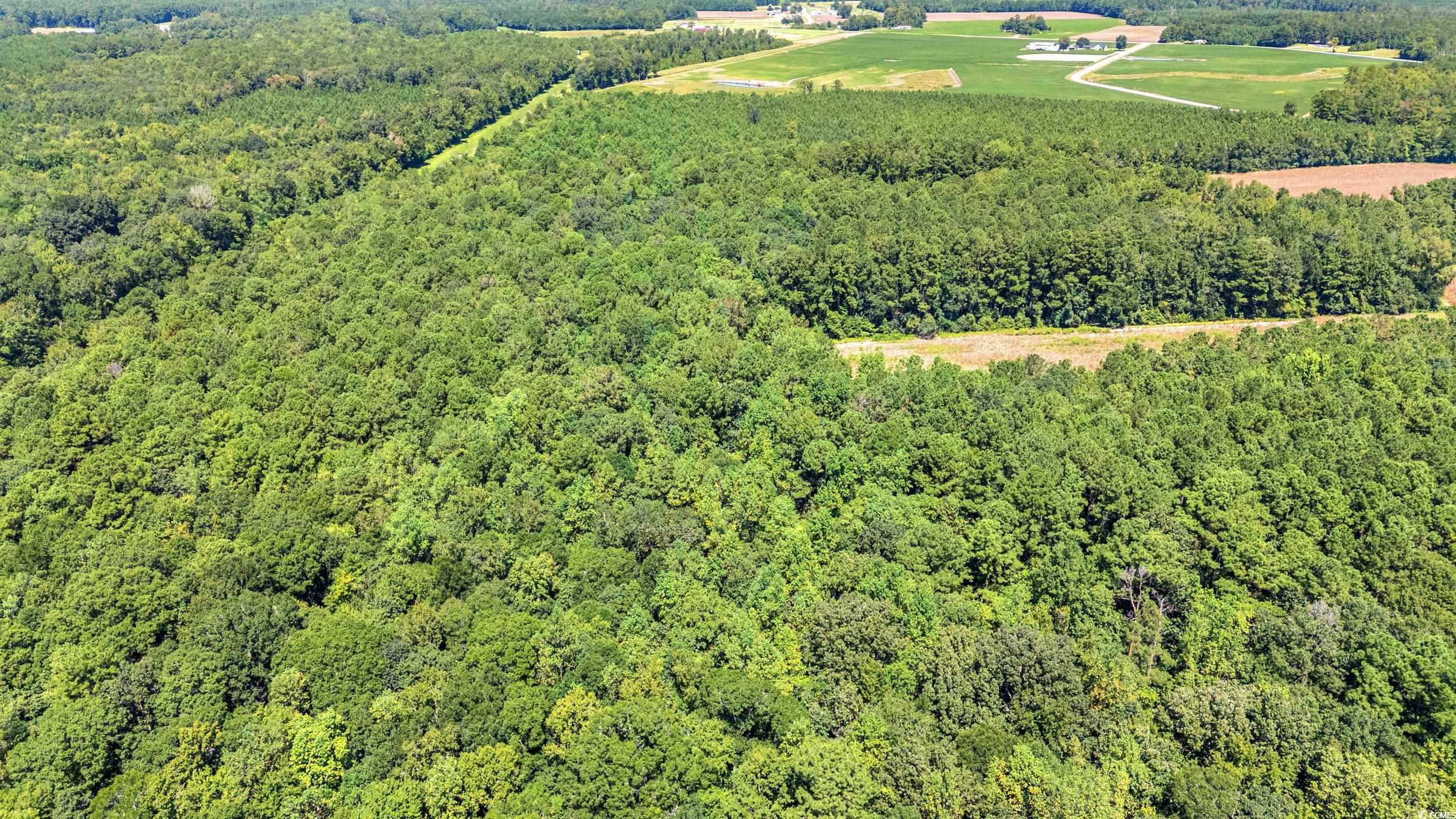 Tbd Myrtle W Drive Loris, SC 29569 - Photo 11 of 12 Drone / aerial view of a heavily wooded area