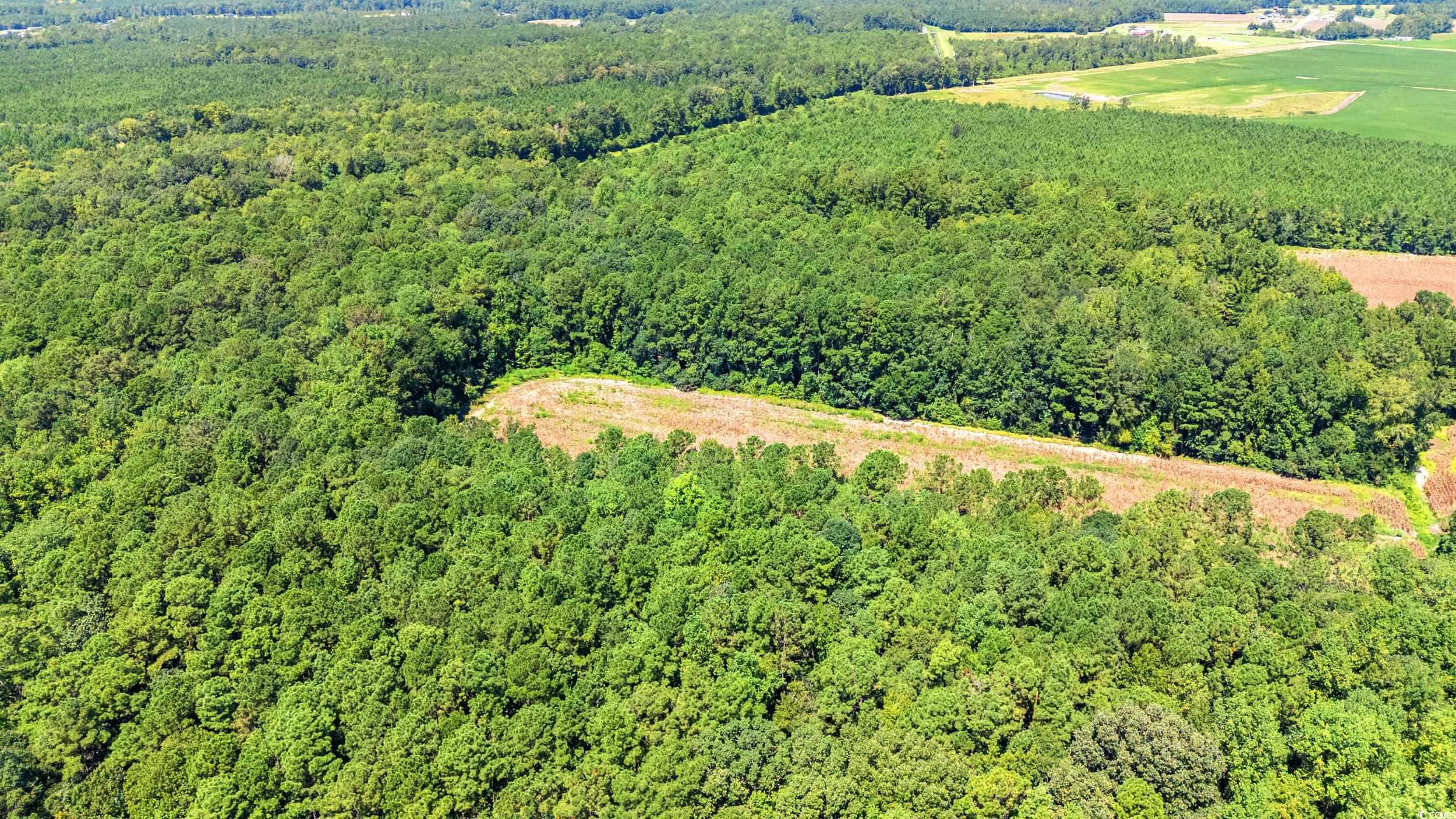 Tbd Myrtle W Drive Loris, SC 29569 - Photo 5 of 12 Aerial view of property's location featuring a heavily wooded area