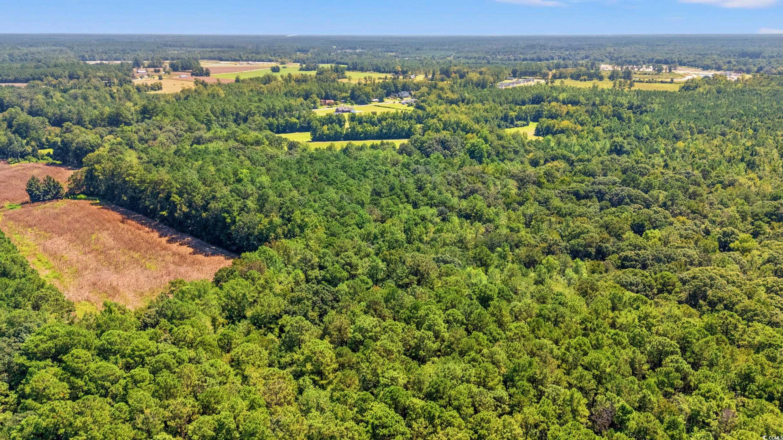 Tbd Myrtle W Drive Loris, SC 29569 - Photo 7 of 12 Bird's eye view of a heavily wooded area