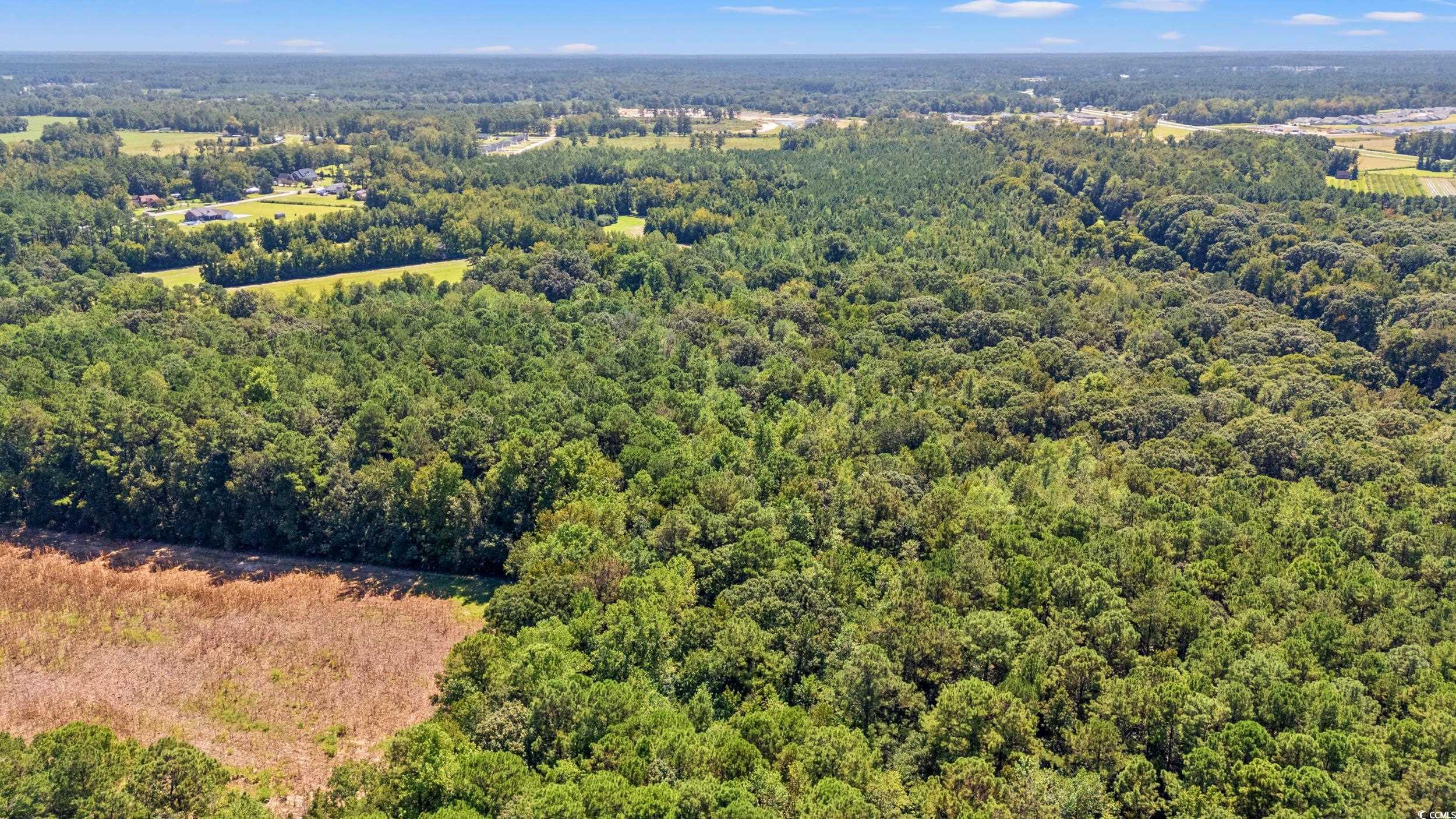 Tbd Myrtle W Drive Loris, SC 29569 - Photo 8 of 12 Aerial view of a heavily wooded area