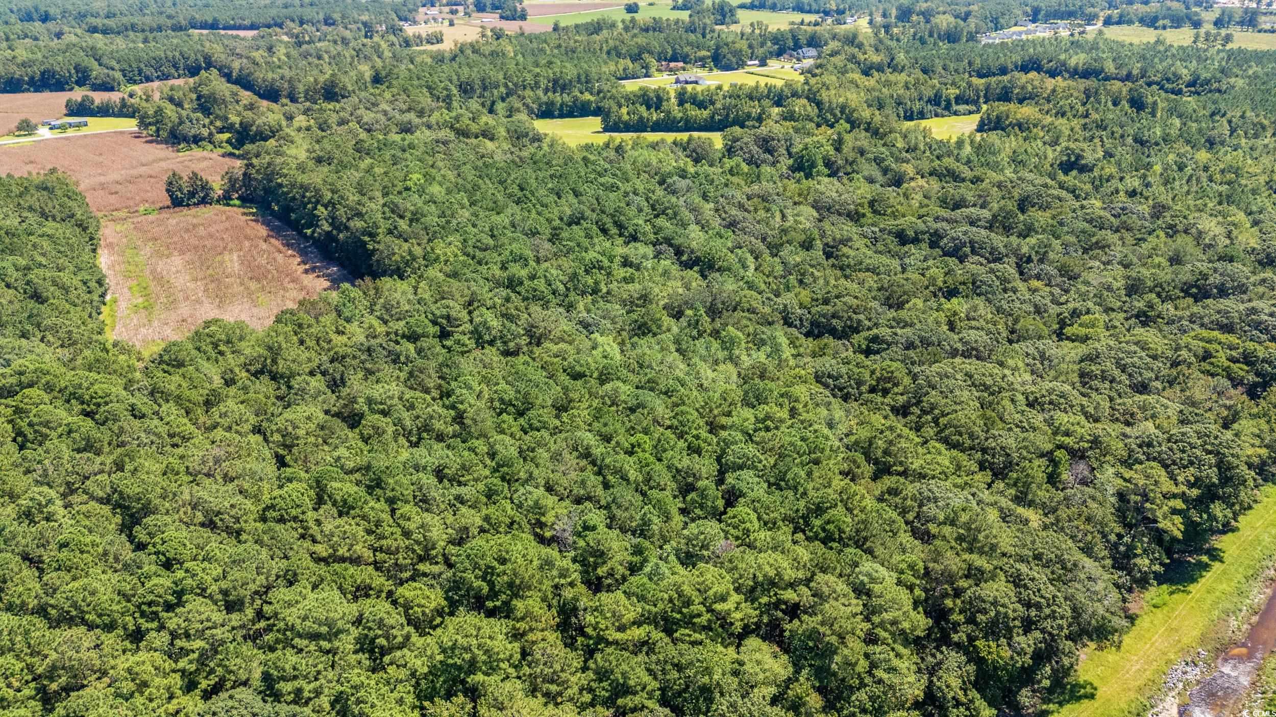 Tbd Myrtle W Drive Loris, SC 29569 - Photo 9 of 12 Bird's eye view of a heavily wooded area
