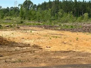 $15,500 | Tbd Tbd Daughdrill, Bogue Chitto, MS 39629