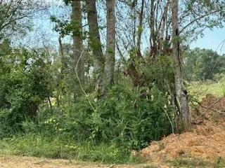 $15,500 | Tbd Tbd Daughdrill, Bogue Chitto, MS 39629