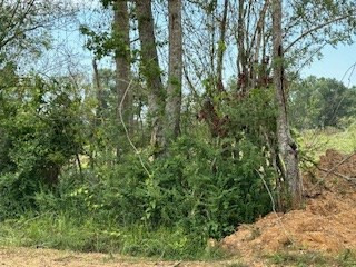 Tbd Tbd Daughdrill Bogue Chitto, MS 39629 - Photo 2 of 2 Photo 2