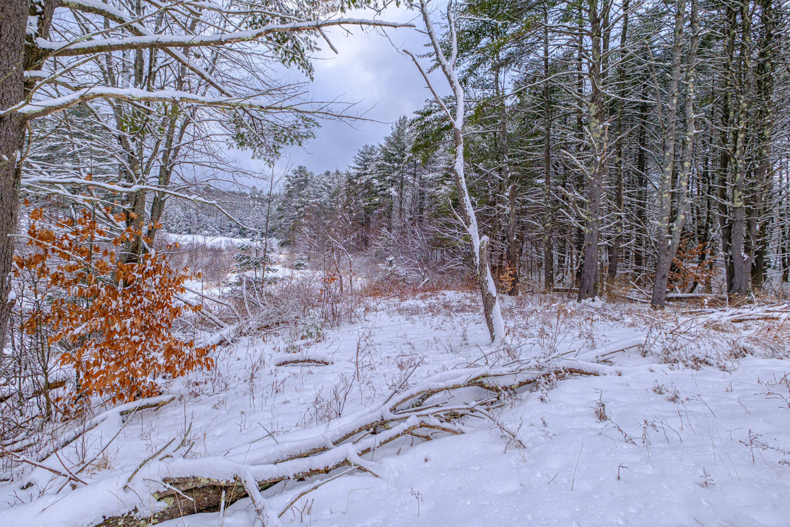 72 Shaw Brook Lane Gray, ME 04039 - Photo 39 of 40 20260119gp-60056