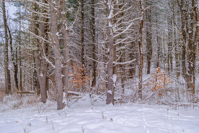 $449,000 | 72 Shaw Brook Lane, Gray, ME 04039