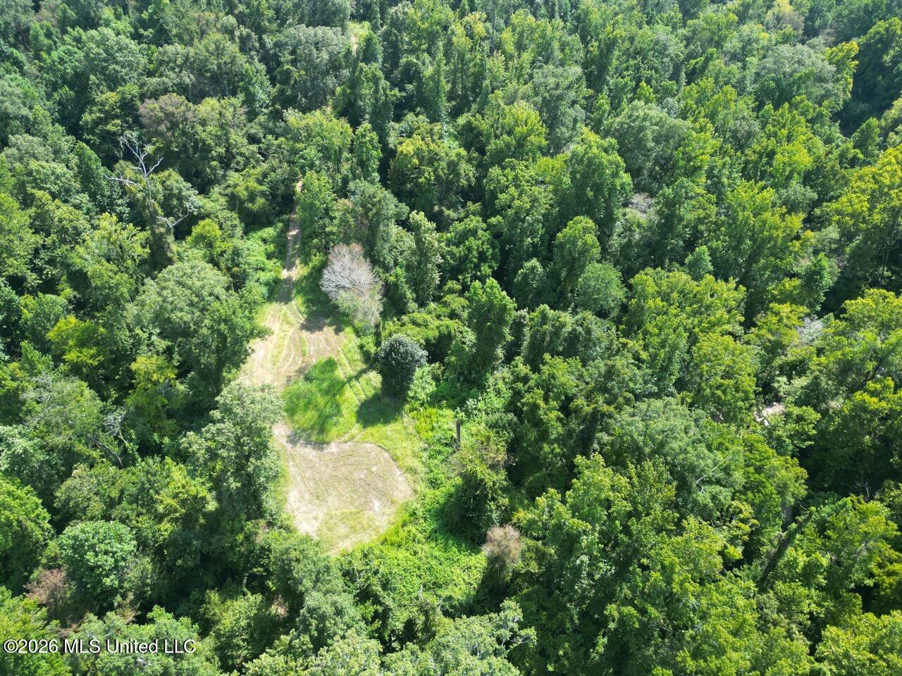 Well's Road Fayette, MS 39069 - Photo 4 of 45 DJI_0476 Large