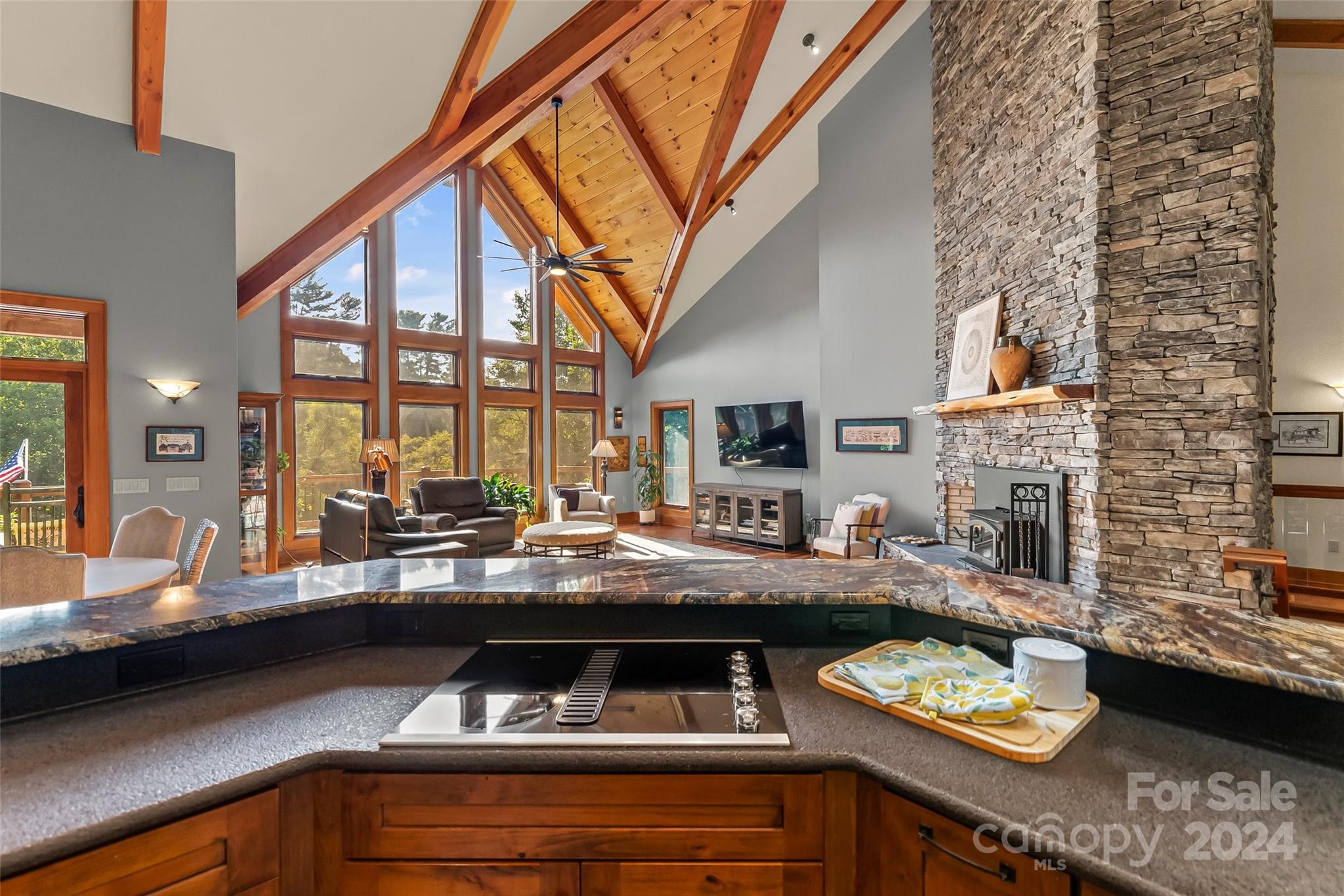 65 Cansadie Top Road Waynesville, NC 28785 - Photo 14 of 48 Gallery Image 14