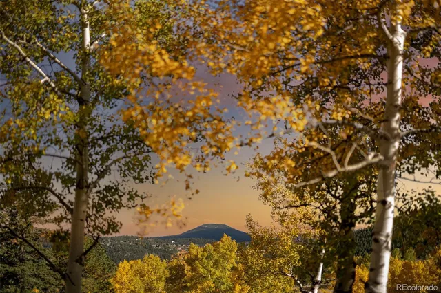 $1,225,000 | 31753 Miwok Trail, Evergreen, CO 80439