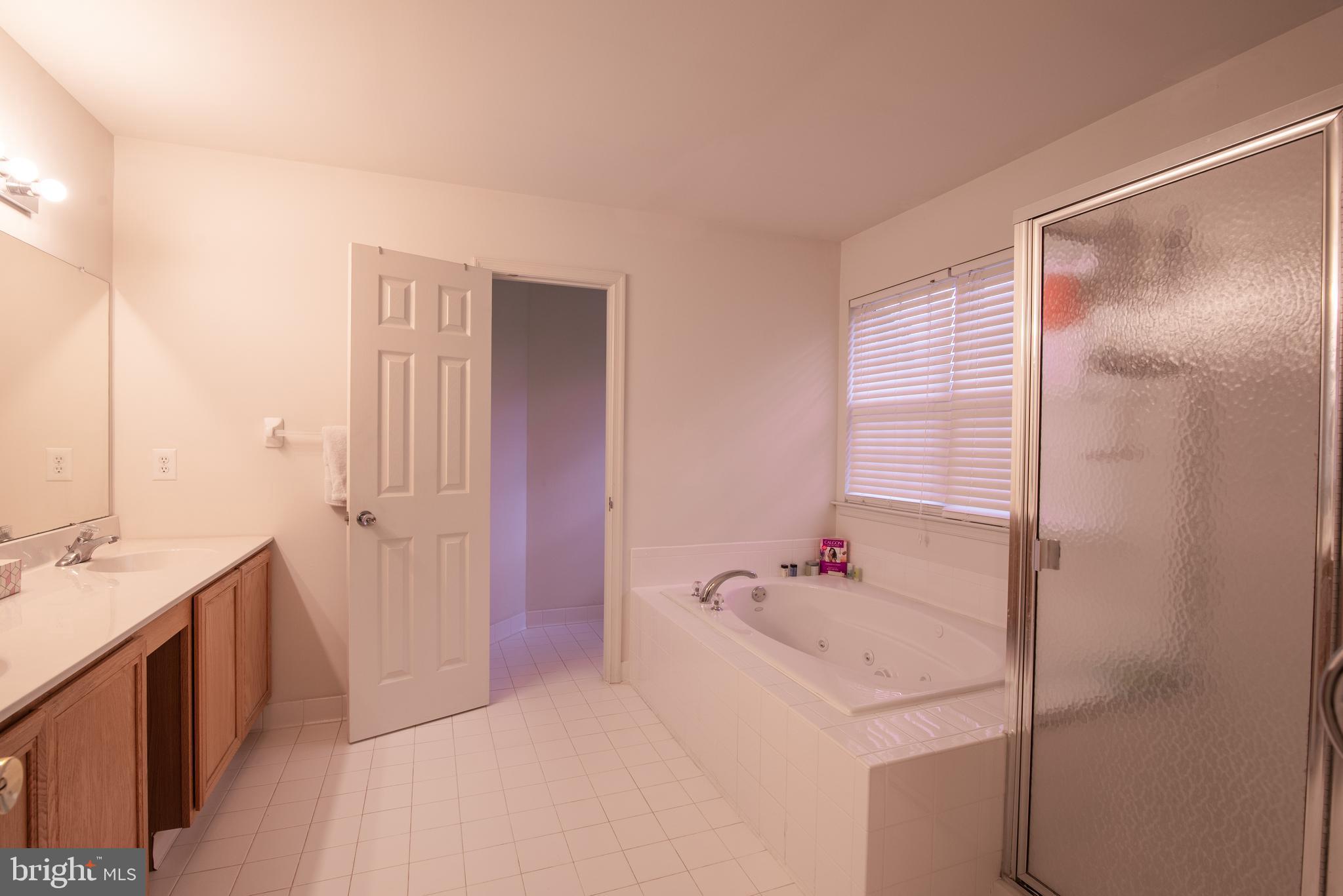286 Lea Court Mickleton, NJ 08056 - Photo 27 of 30 Primary Bathroom and Water Closet