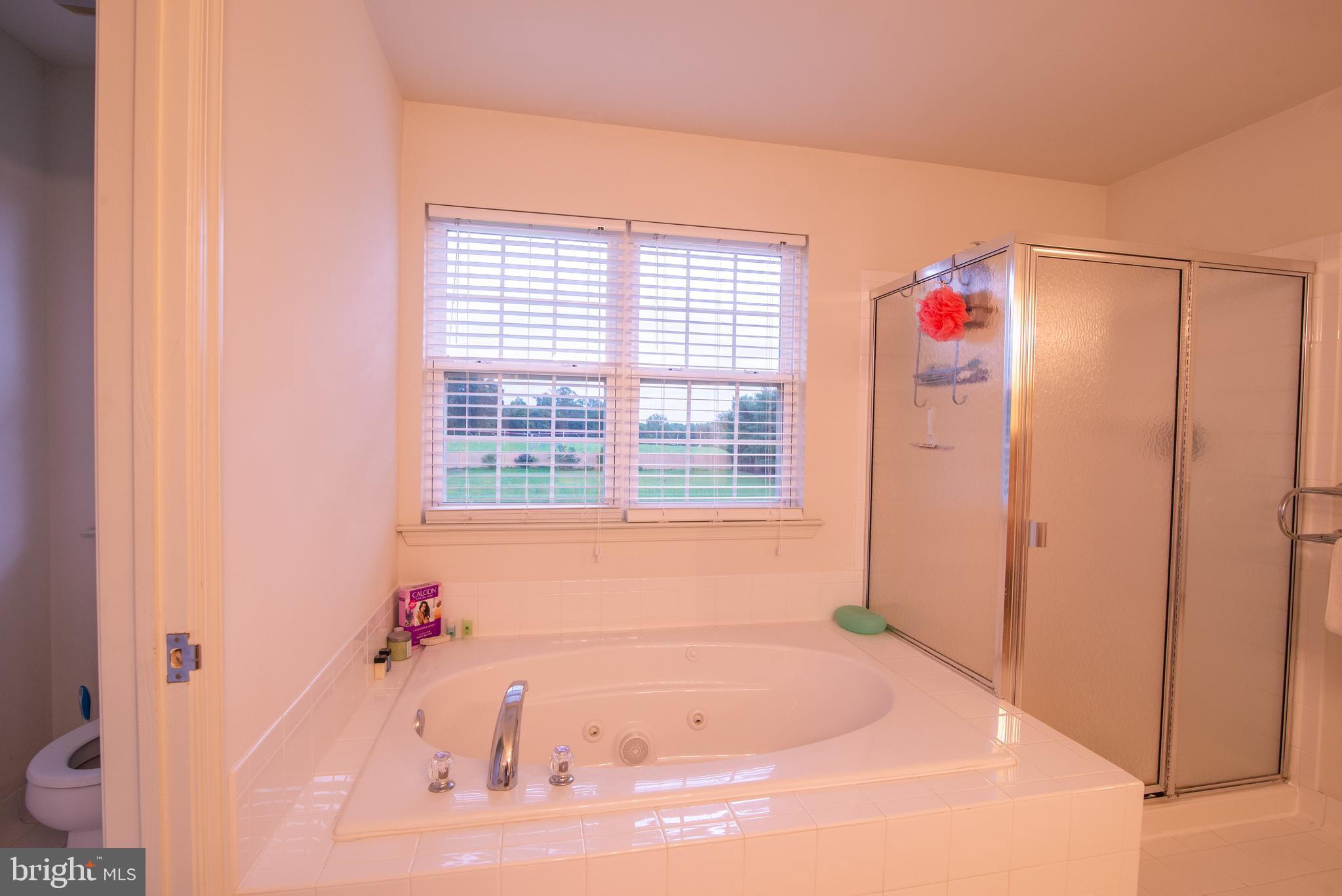 286 Lea Court Mickleton, NJ 08056 - Photo 28 of 30 Primary Bathroom