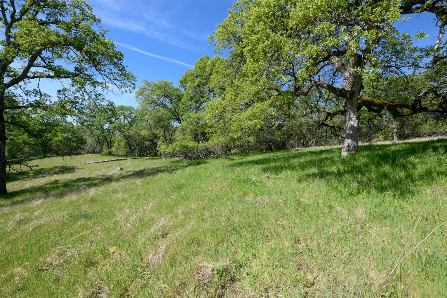 BEAUTIFUL OAK STUDDED PARCEL WITH MANY BUILDING SITES