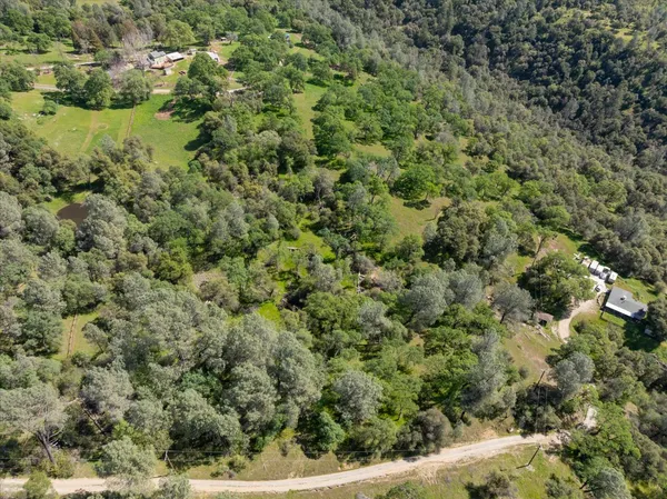 a view of a park with large trees