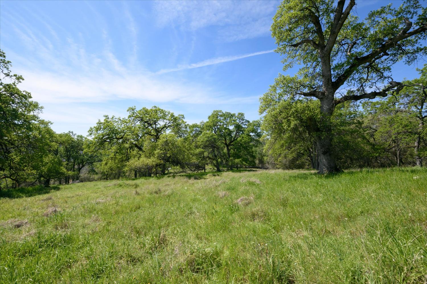 0 3460 Almosta Road Placerville, CA 95667 - Photo 3 of 17