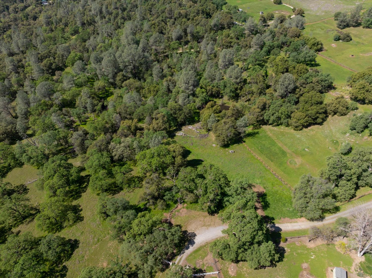 0 3460 Almosta Road Placerville, CA 95667 - Photo 5 of 17