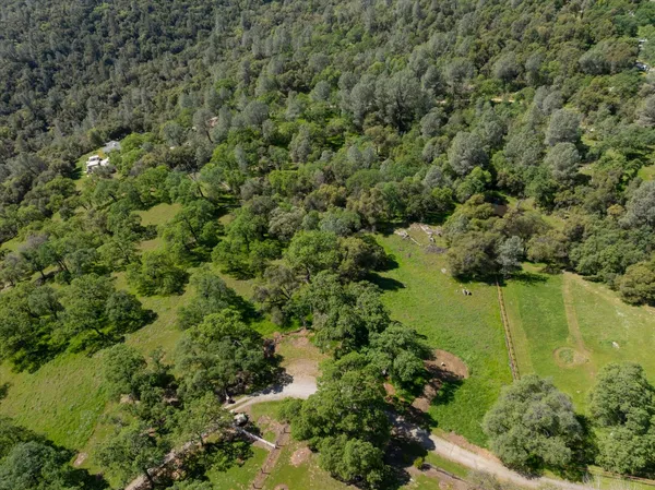 a view of a lake with a forest