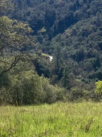 a view of a lake with large trees