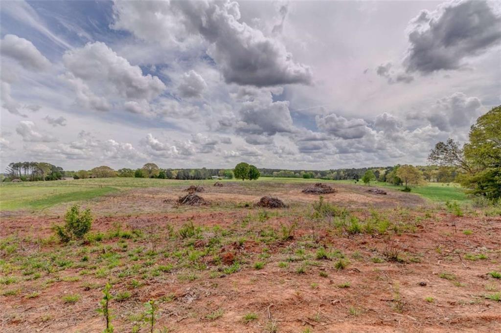 0 Collard Valley Road Cedartown, GA 30125 - Photo 11 of 18