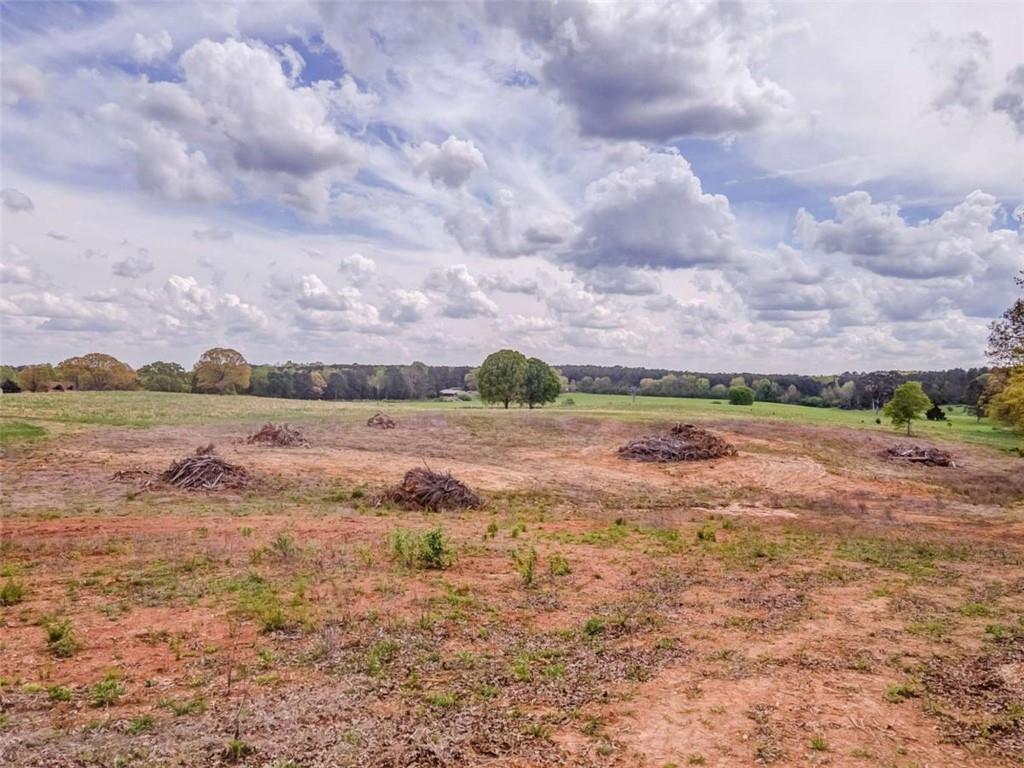 0 Collard Valley Road Cedartown, GA 30125 - Photo 16 of 18