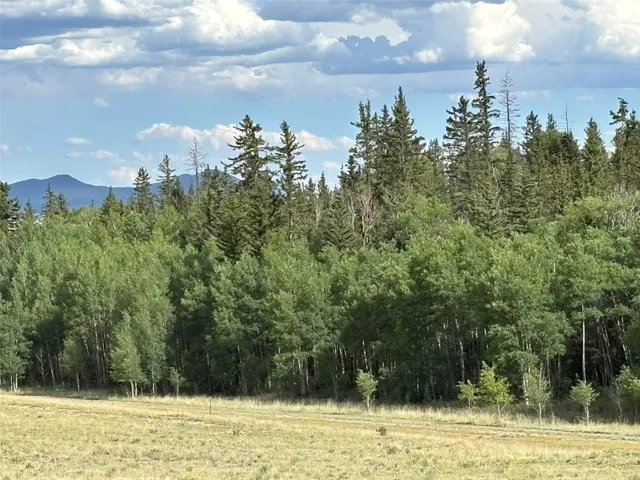 a view of a town with palm trees