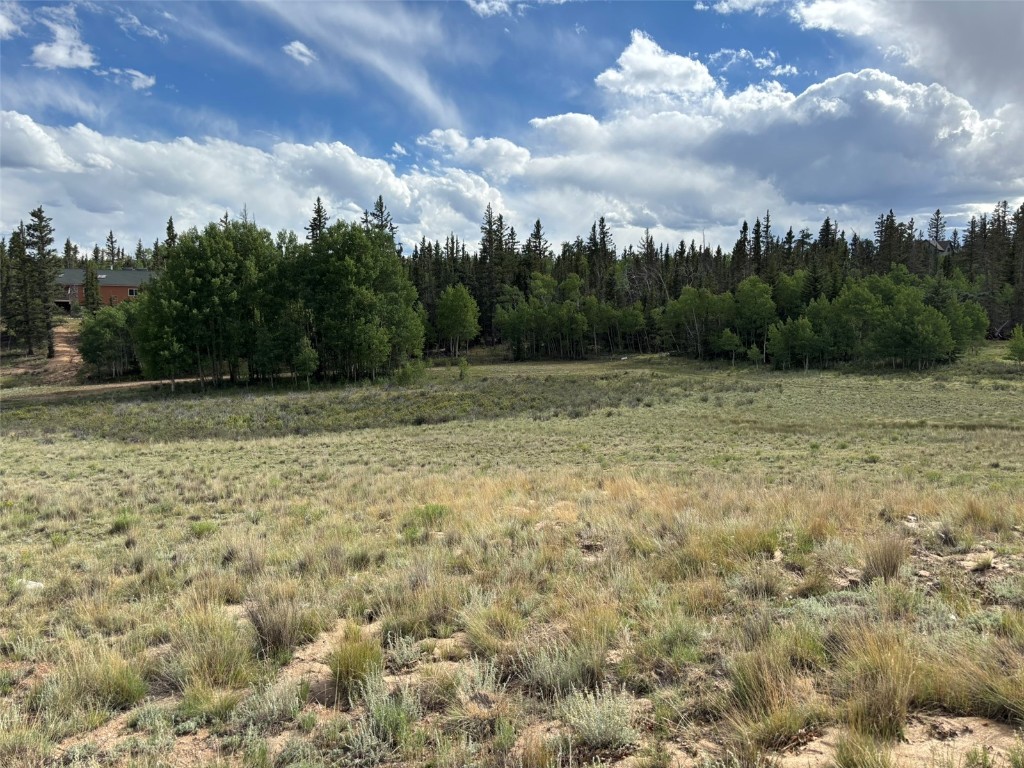 702 Pinto Trail Como, CO 80432 - Photo 18 of 20 a view of outdoor space and yard