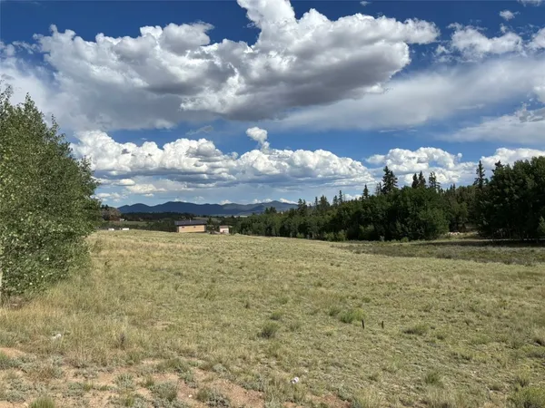 a view of a big yard with lots of trees