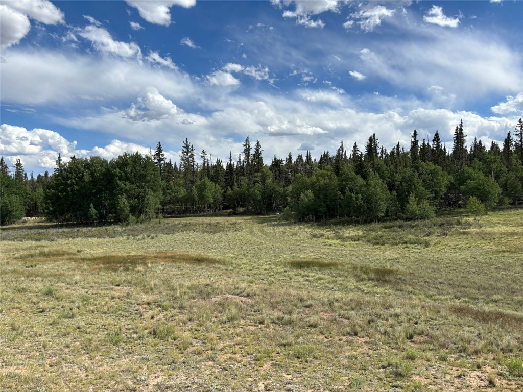 702 Pinto Trail Como, CO 80432 - Photo 8 of 20 a view of a yard