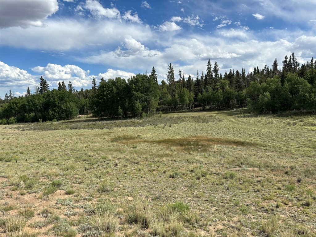 702 Pinto Trail Como, CO 80432 - Photo 9 of 20 a view of a green field