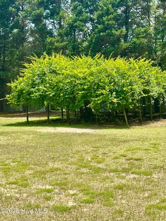 $349,000 | 109 Conway Road, Fair Bluff, NC 28439