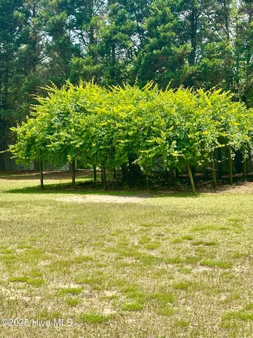 $357,000 | 109 Conway Road, Fair Bluff, NC 28439