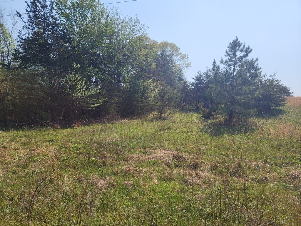 Horseshoe Road, Unit 3 Appomattox, VA 24522 - Photo 2 of 2 Gallery Image 2