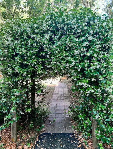 $750,000 | 1509 West Palmetto Fort Drive, Mount Pleasant, SC 29466