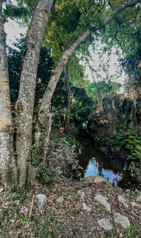 $750,000 | 1509 West Palmetto Fort Drive, Mount Pleasant, SC 29466