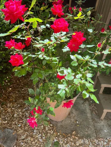 $750,000 | 1509 West Palmetto Fort Drive, Mount Pleasant, SC 29466