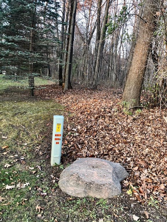 0 East Brocker Road Metamora, MI 48455 - Photo 24 of 25