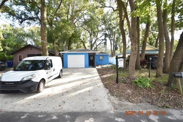 a view of a backyard that has a large tree