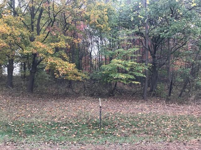 0 Irwin Road, Unit TRACT 1 Delaware, OH 43015 - Photo 3 of 7