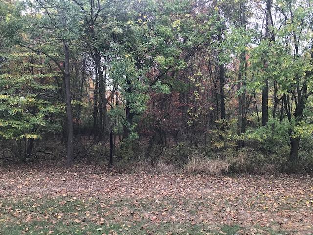 0 Irwin Road, Unit TRACT 1 Delaware, OH 43015 - Photo 4 of 7
