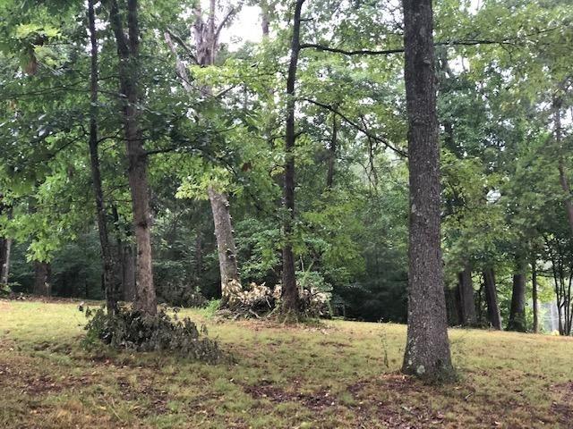 12115 Bettis Road Georgetown, TN 37336 - Photo 3 of 8 20194281-2