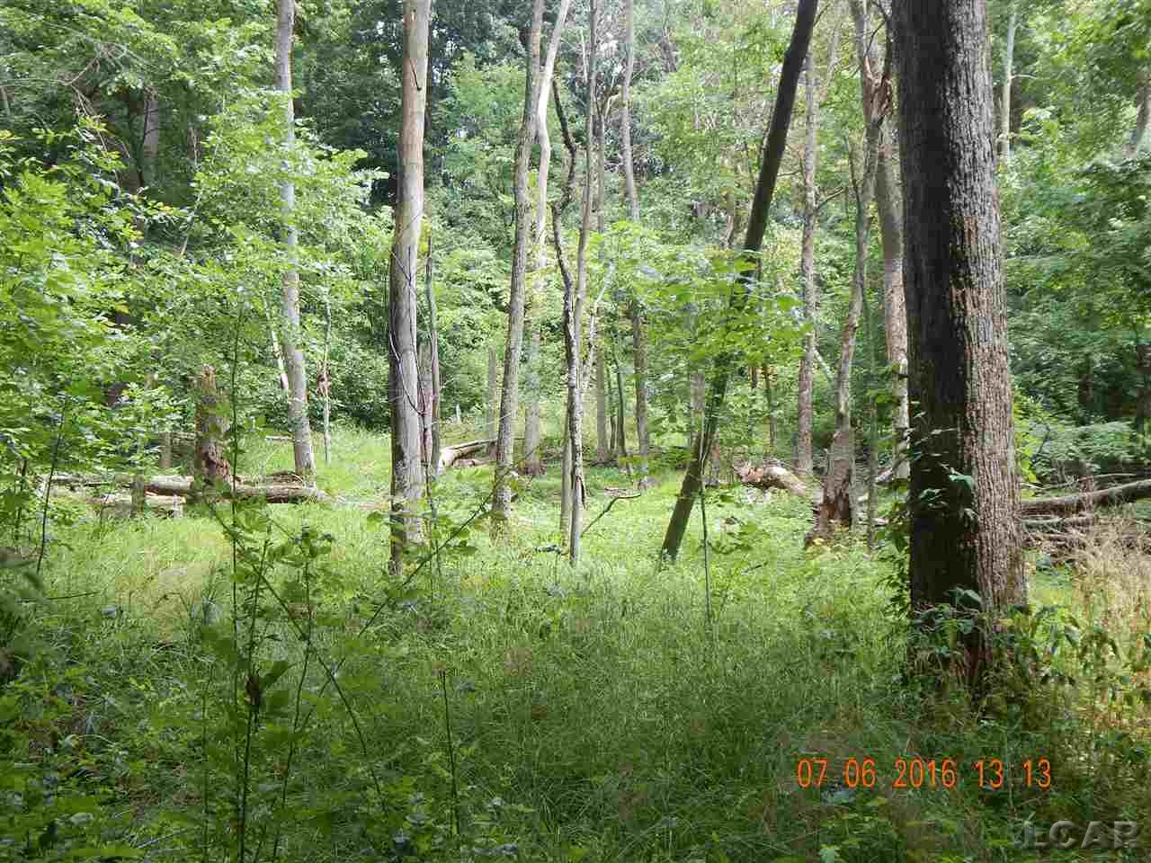 3883 Rogers Road Parma, MI 49269 - Photo 9 of 21