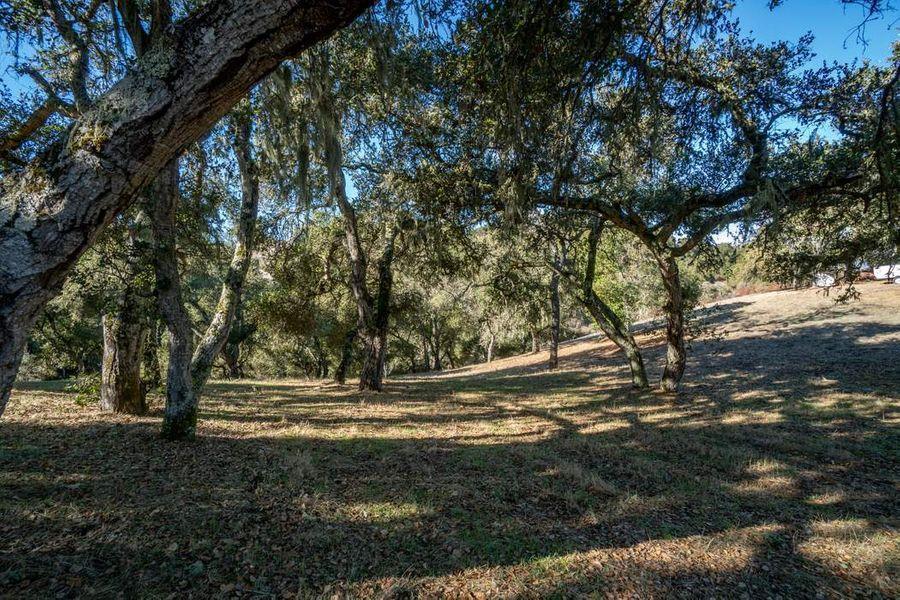17114 Cachagua Road Carmel Valley, CA 93924 - Photo 19 of 32