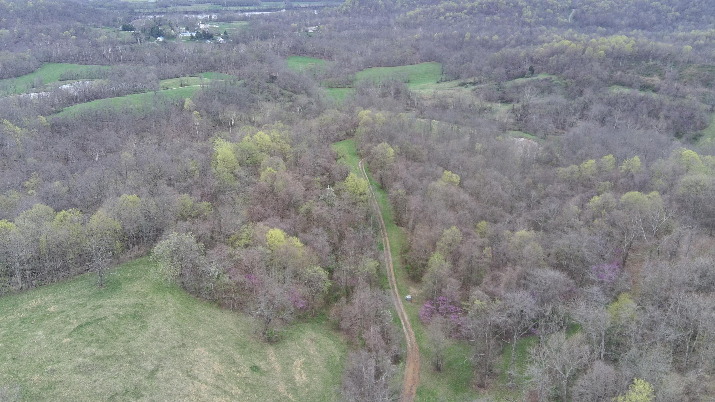 213 Nelson Road Gallipolis, OH 45631 - Photo 37 of 59 37