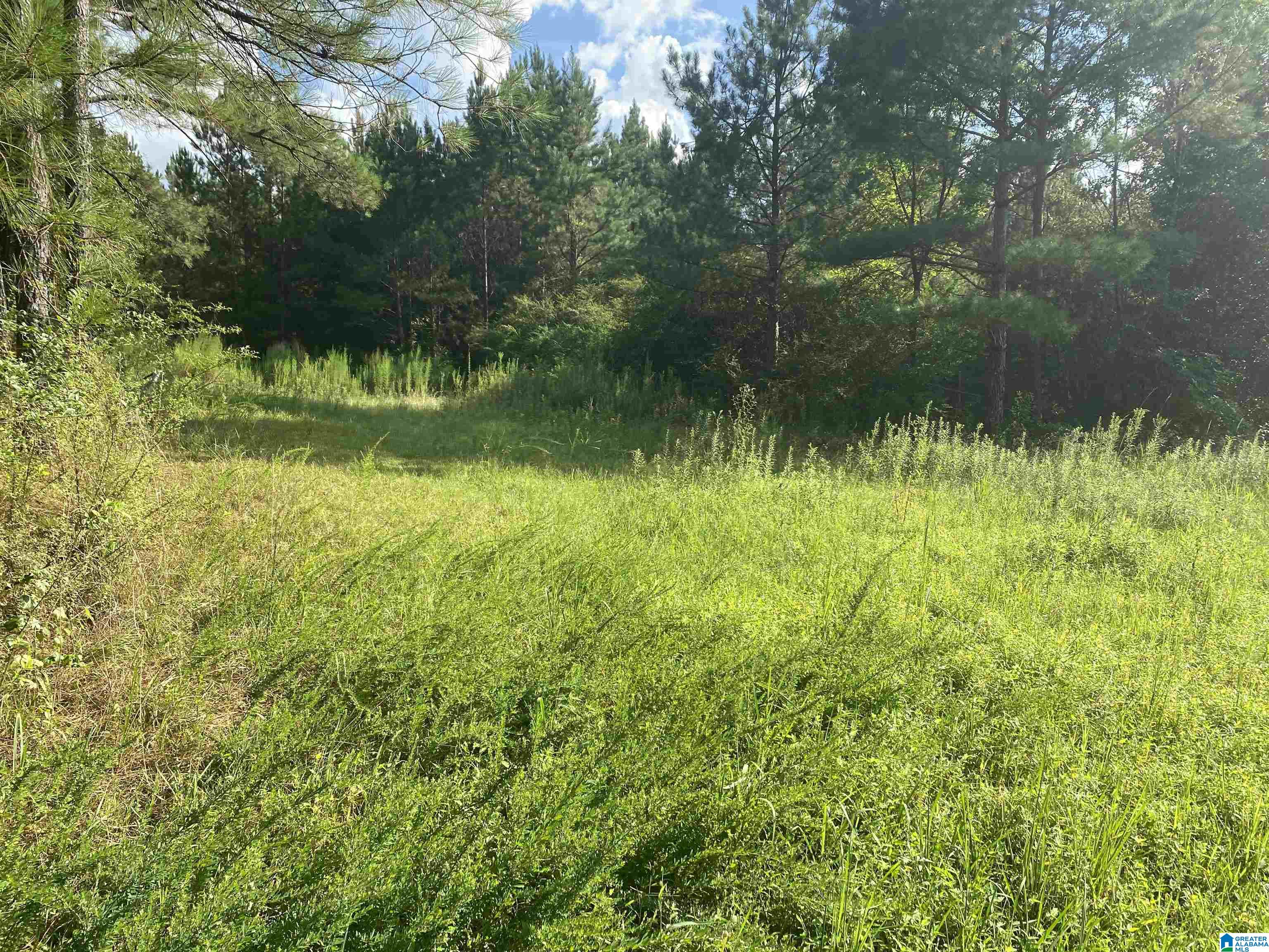 954 County Road 13, Unit 1 Cleveland, AL 35049 - Photo 14 of 19