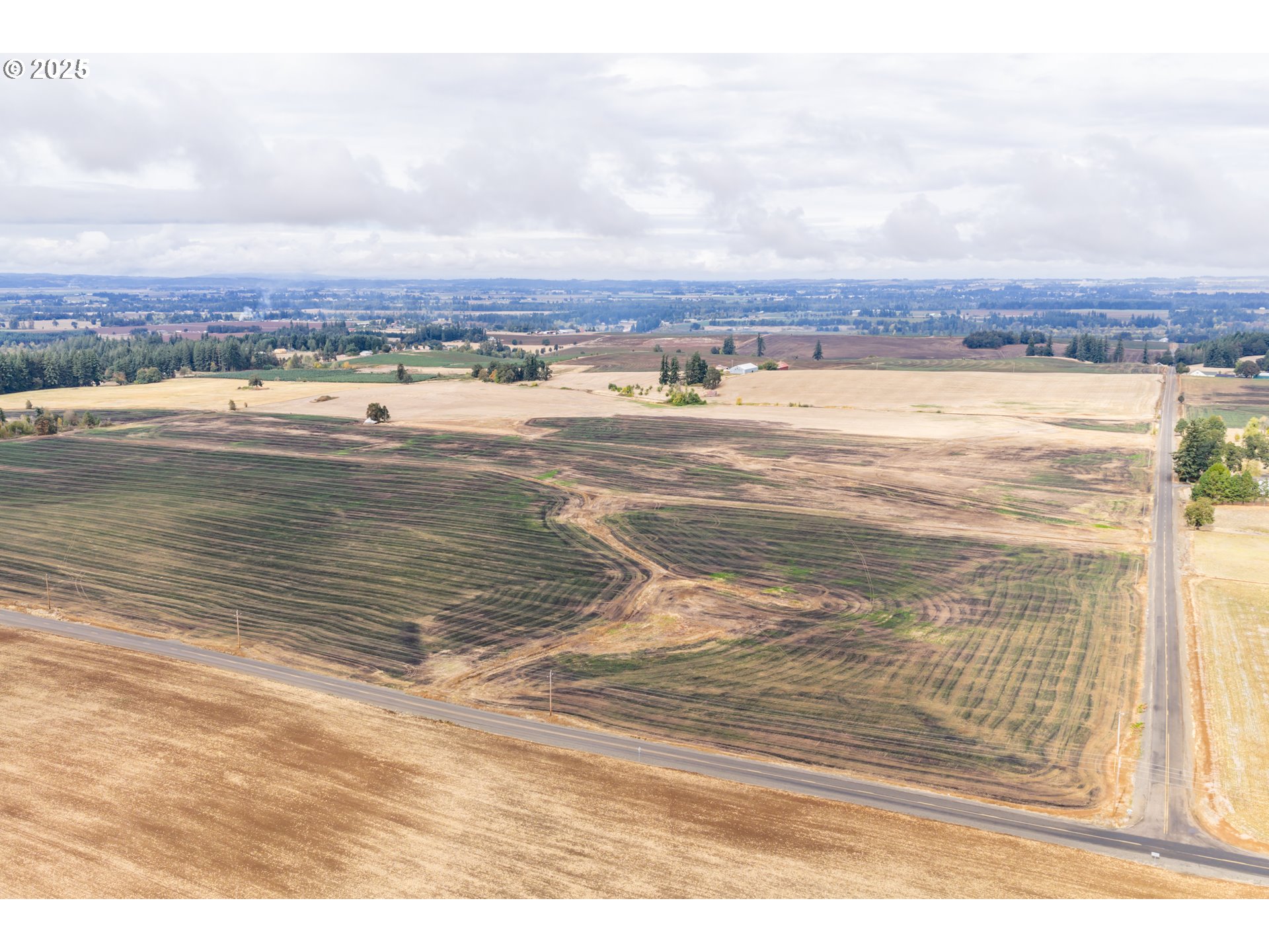 39986 Gisler Road Scio, OR 97374 - Photo 26 of 45