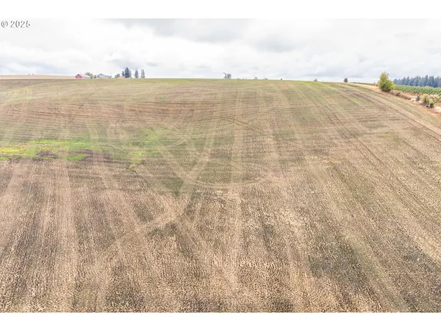 a view of an ocean and beach