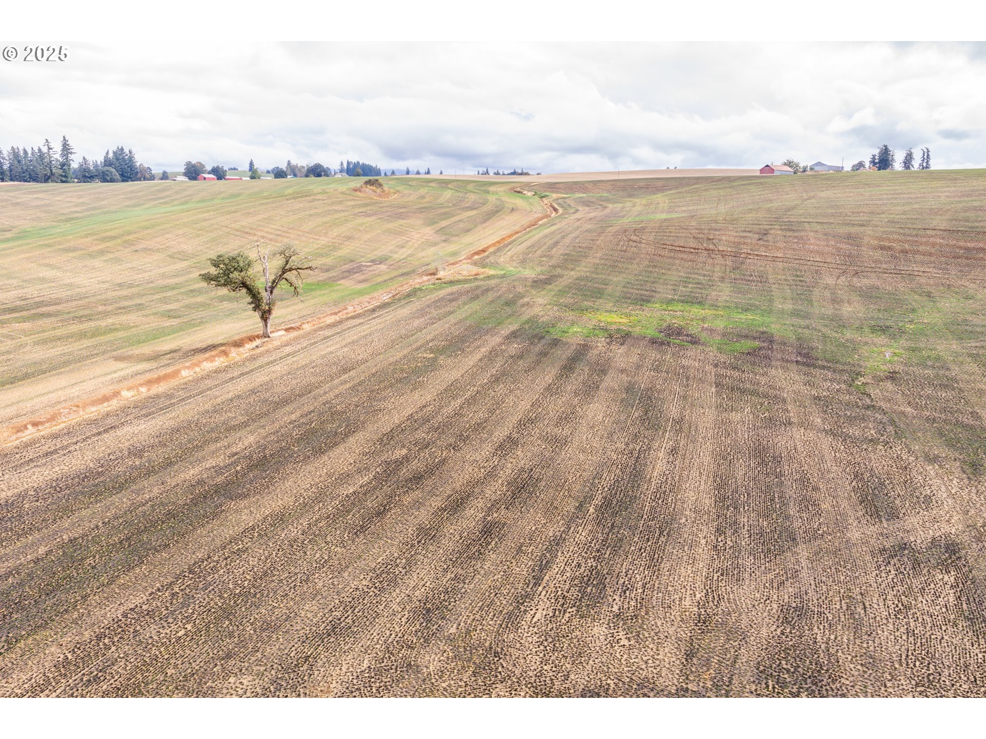 39986 Gisler Road Scio, OR 97374 - Photo 28 of 45 a view of an ocean and beach
