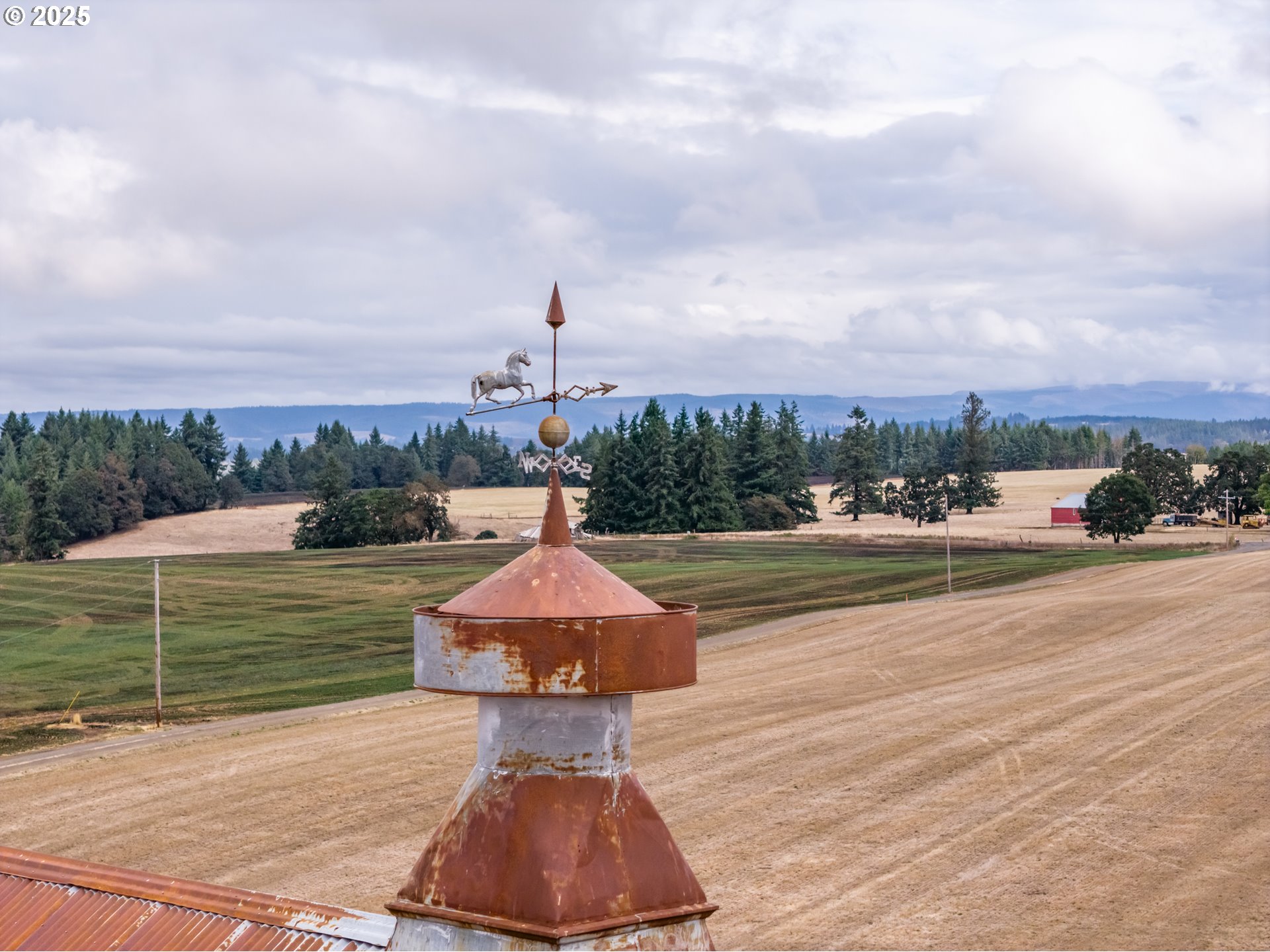 39986 Gisler Road Scio, OR 97374 - Photo 29 of 45 a front view of a house with a yard
