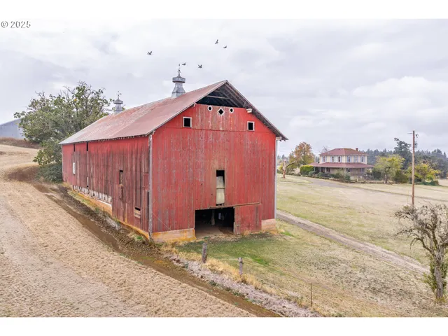 a view of a small garden