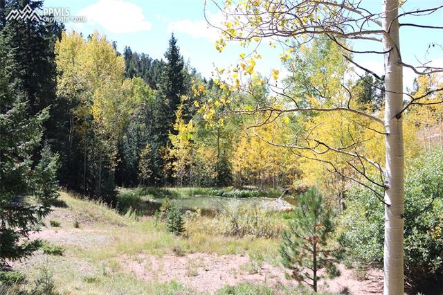 776 Stoner Road Divide, CO 80814 - Photo 2 of 2